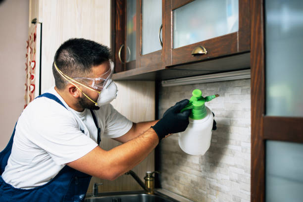 Best Affordable Pest Control Services  in Paden City, WV