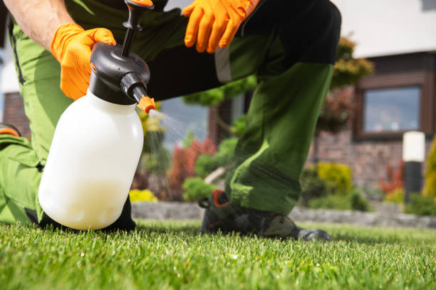 Best Residential Pest Control  in Paden City, WV