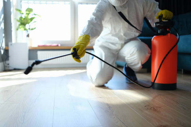 Best Pest Removal Services  in Paden City, WV