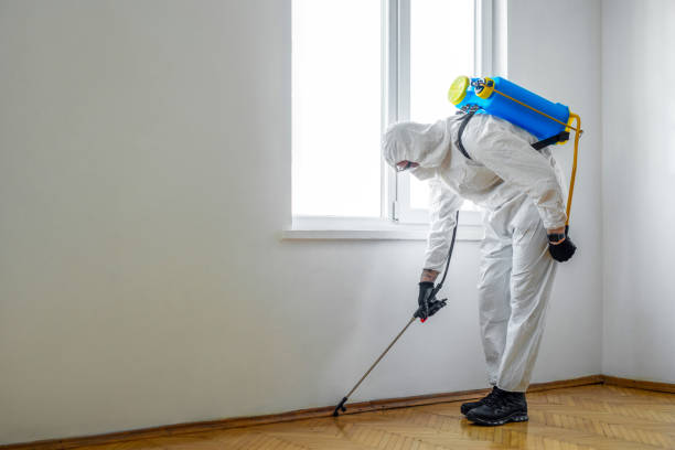 Best Pest Inspection Near Me  in Paden City, WV