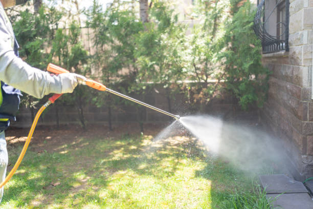 Best Cockroach Control Services  in Paden City, WV