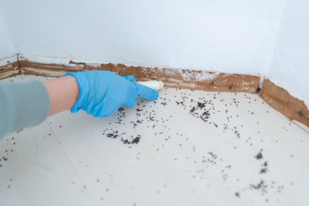 Best Commercial Pest Control Services  in Paden City, WV