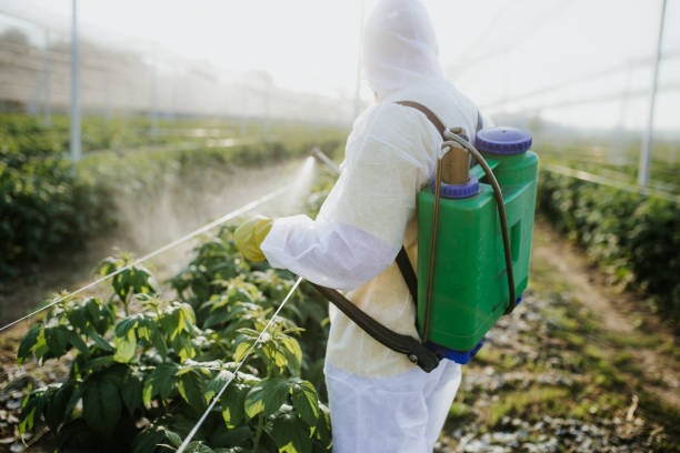 Best Affordable Pest Control Services  in Paden City, WV